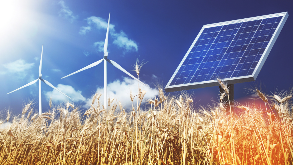 two wind turbines and a solar panel in a field of wheat
